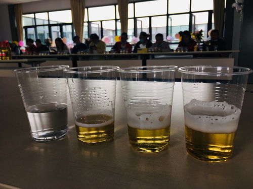 百威啤酒开放日 诚邀消费者代表现场品酒体验